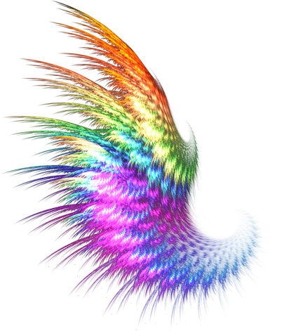 color gradation wings