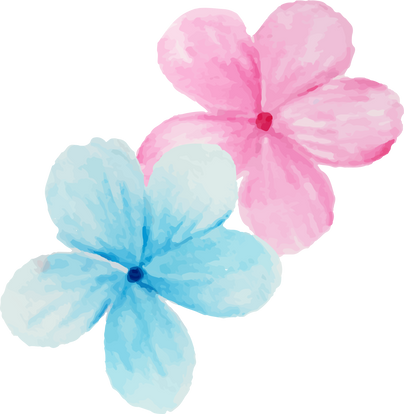 Watercolor pink and blue flower arrangement.